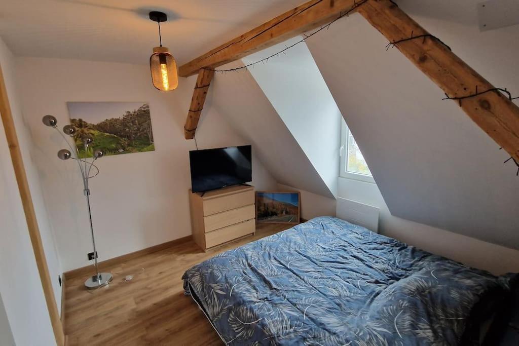 Appartement Strasbourg Appartement *