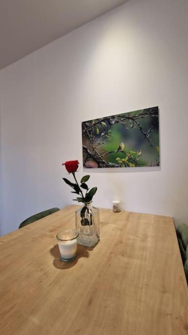 Appartement Appartement Strasbourg Strasbourg