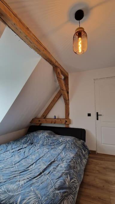 Appartement Strasbourg *